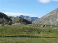 Pyrenaen Bild